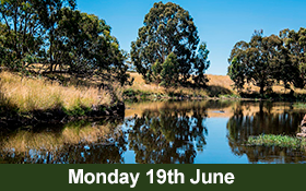 Image of Morang Wetlands at Plenty Gorge Parklands Sensory Park Walk.