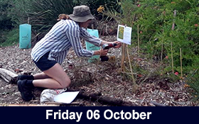 Image of Tree Planting and Conservation: Meet Friends of Coburg Lake.
