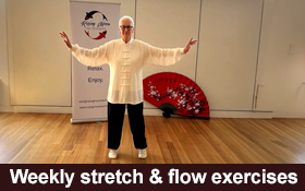 Image of Zoom Energy Balance - A beautiful and gentle exercise. Join in.