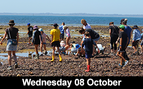 Image of Join us at Ricketts Point for a guided walk and rockpool exploration.