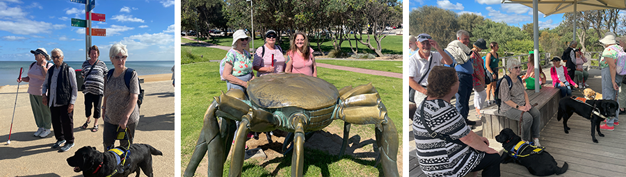 Image of A day of connection and sunshine at Frankston Foreshore. We Joined In!
