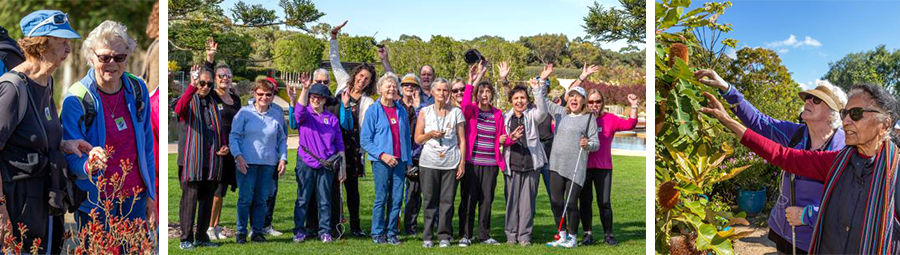 Image of Join us for a Sensing Nature Walk in the Royal Botanic Gardens Cranbourne.