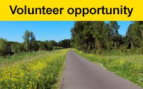 Image of Do you live near Werribee, enjoy slow walks and good conversation?