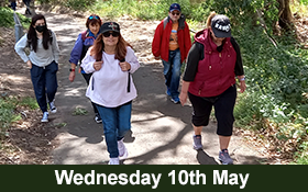 Image of Join us on a 'Sensing Nature' Forest Therapy Walk in May.