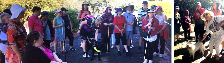 Image of Cheltenham Pioneer Cemetery & Cheltenham Park Walk. We joined in!