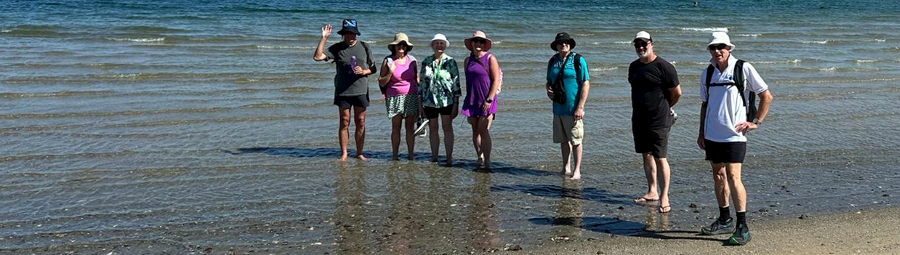 Image of A delightful seaside visit. We Joined In!