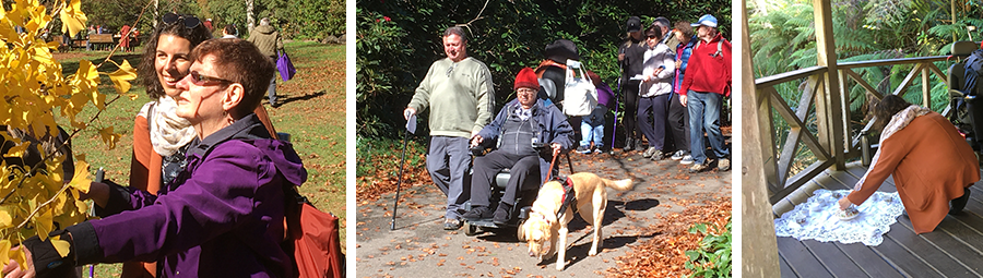 Image of Dandenong Ranges Forest Bathing Walk. We joined in!