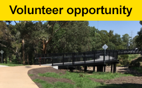Image of Do you live in or around Coburg and have experience on a tandem bike?