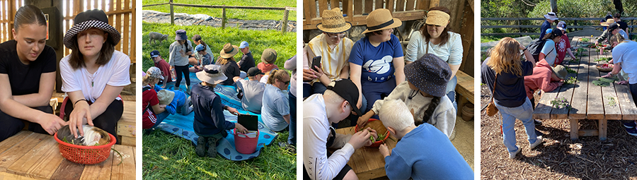 Image of A school holiday animal farm sensory tour. We Joined In!