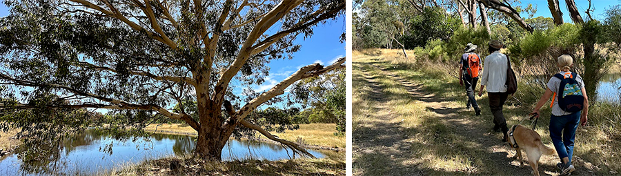 Image of Morang Wetlands at Plenty Gorge Parklands Sensory Park Walk.