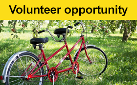 Image of Do you live in or around the Glenhuntly area and have experience on a tandem bike?