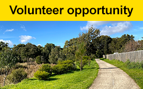 Image of Seeking a friendly walking buddy in Bundoora to help a lady who is blind get out of the house and get active.