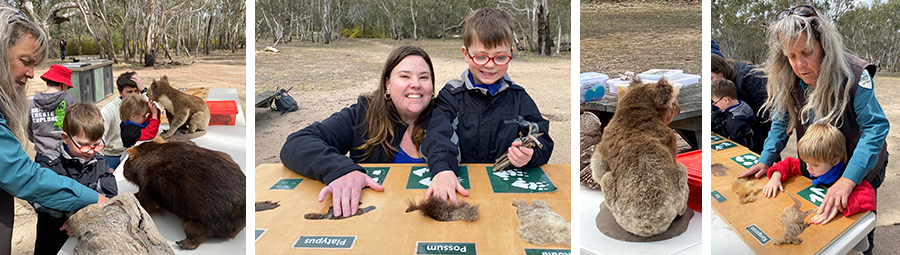 Image of A tactile day of discovery with Park Ranger Julia. We Joined In!