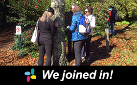 Image of Dandenong Ranges Forest Bathing Walk. We joined in!