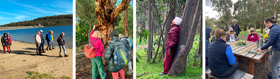 Image of Connecting with nature and experiencing its beauty through our senses. We joined in!