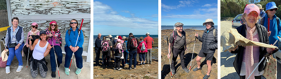 Image of Seaweed, shark eggs and stories: Ricketts Point Marine Sanctuary Tour. We Joined In!