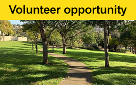 Image of Seeking a Walking Buddy in North Sunshine for a natter and a walk.