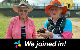 Image of Seaweed, shark eggs and stories: Ricketts Point Marine Sanctuary Tour. We Joined In!