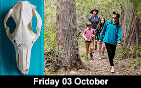 Image of Join us to become a wildlife detective these school holidays.