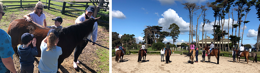 Image of Horse riding holiday fun. We joined in!