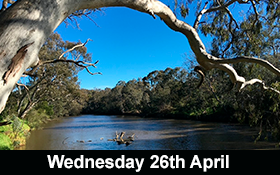 Image of Join us on a Yarra Bend Park Walk.