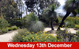 Image of Join us for a Sensing Nature Walk in the Royal Botanic Gardens Cranbourne.