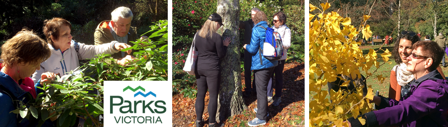 Image of Join us and join a 'Sensing Nature' Forest Therapy Walk.