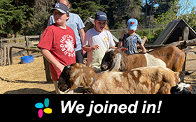 Image of A school holiday animal farm sensory tour. We Joined In!