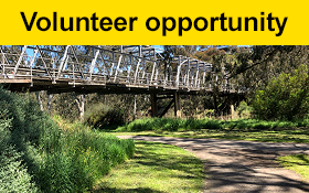 Image of Seeking a friendly walking buddy for a man who is blind in Geelong. Join us.
