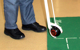 Image of Indoor Bias Bowls