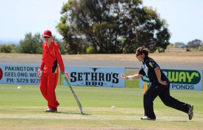 image of Cricket