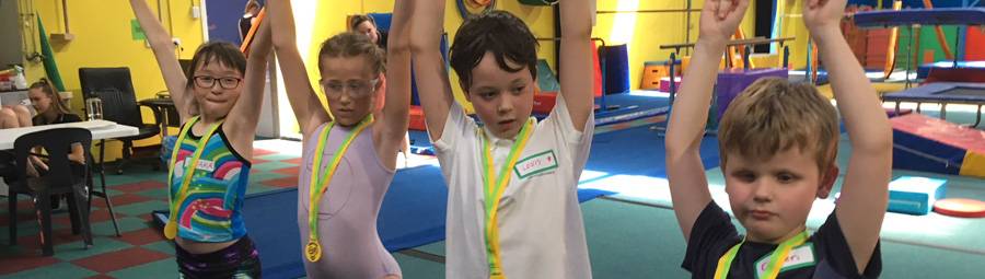 image of Gymnastics