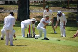 Image of Cricket