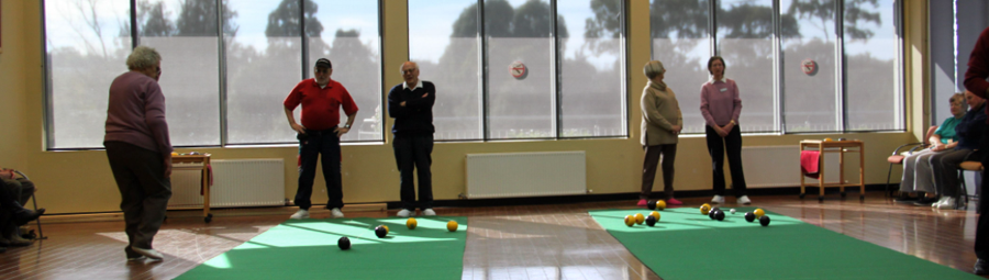 image of Indoor Bias Bowls